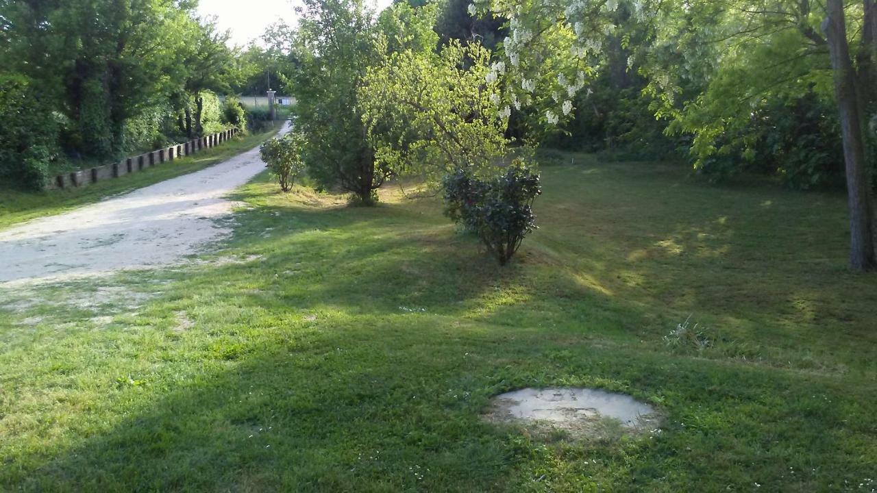 Bed And Breakfast Sile E Natura Sant'Elena di Silea Exterior photo